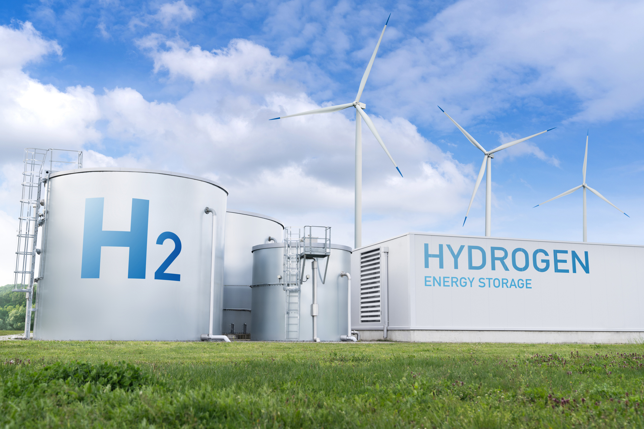 Hydrogen and Fuel Cells