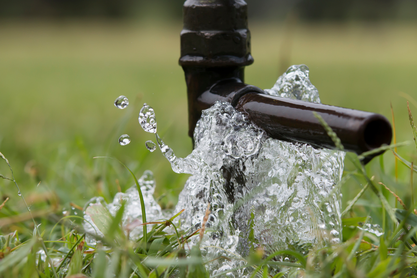 Water Efficiency Management Guide for Landscaping and Irrigation